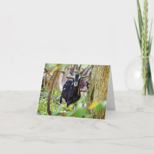 lächelnde Ziege Karte