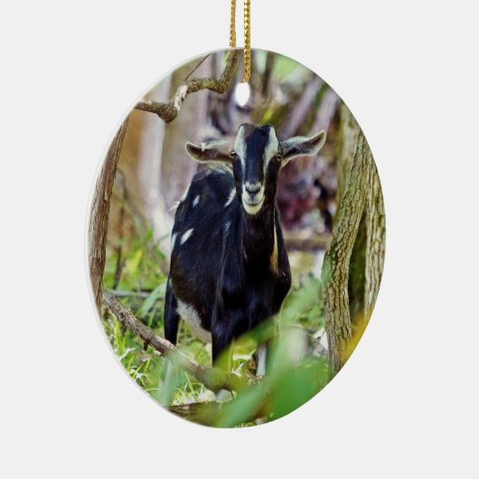 lächelnde Ziege Keramik Ornament (Rechts)