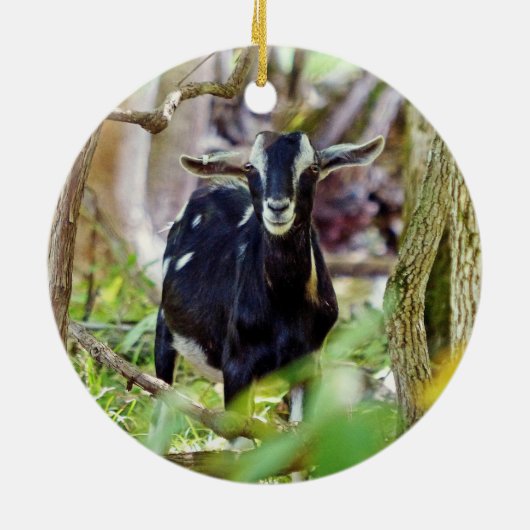 lächelnde Ziege Keramik Ornament (Hinten)