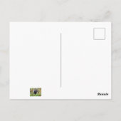 lächelnde Ziege Postkarte (Rückseite)