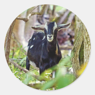 lächelnde Ziege Runder Aufkleber