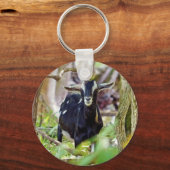 lächelnde Ziege Schlüsselanhänger (Rückseite)