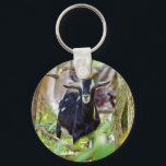 lächelnde Ziege Schlüsselanhänger<br><div class="desc">Diese Ziege scheint mich anzulächeln.</div>