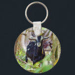 lächelnde Ziege Schlüsselanhänger<br><div class="desc">Diese Ziege scheint mich anzulächeln.</div>