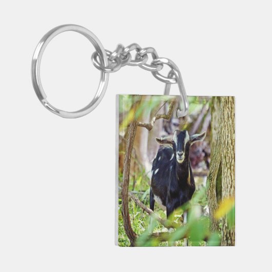 lächelnde Ziege Schlüsselanhänger (Vorderseite links)