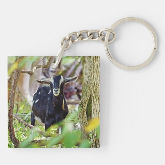 lächelnde Ziege Schlüsselanhänger (Rückseite)