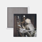 lächelnder Affe Magnet (Vorderseite/Rückseite)