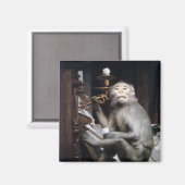 lächelnder Affe Magnet (Vorderseite/Rückseite)