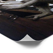 lächelnder Affe Poster (Ecke)