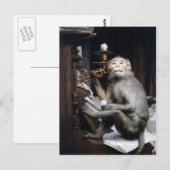 lächelnder Affe Postkarte (Vorne/Hinten)