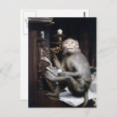 lächelnder Affe Postkarte (Vorne/Hinten)