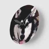 Lächelnder alaskischer Schwarzweiss-malamute Runde Wanduhr (Winkel)