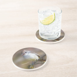 Lächelnder ash-gethroter Flycatcher auf der Zweigs Getränkeuntersetzer