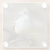 Lächelnder ash-gethroter Flycatcher auf der Zweigs Glasuntersetzer (Rückseite)