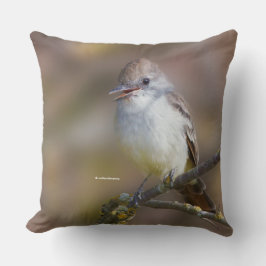 Lächelnder ash-gethroter Flycatcher auf der Zweigs Kissen