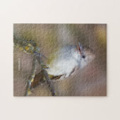 Lächelnder ash-gethroter Flycatcher auf der Zweigs Puzzle (Horizontal)