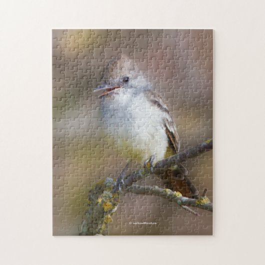 Lächelnder ash-gethroter Flycatcher auf der Zweigs Puzzle (Vertikal)