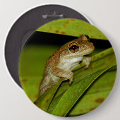 Lächelnder Baumfrosch Knopf Button (Vorne & Hinten)