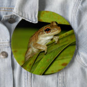 Lächelnder Baumfrosch Knopf Button (Beispiel)