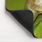 Lächelnder Baumfrosch Mousepad (Ecke)