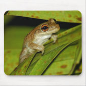 Lächelnder Baumfrosch Mousepad (Vorne)