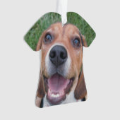 Lächelnder Beagle-Welpe Ornament (Vorderseite)