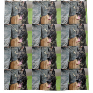 Lächelnder Belgier Malinois Hund Duschvorhang