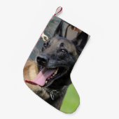 Lächelnder Belgier Malinois Hund Kleiner Weihnachtsstrumpf (Vorderansicht (hängend))