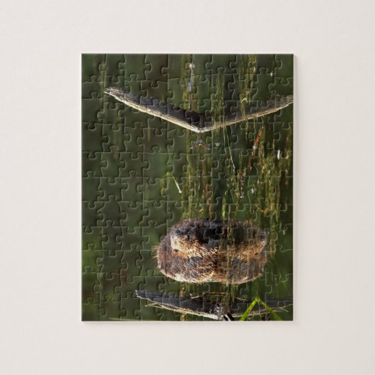 Lächelnder Biber Puzzle (Vertikal)