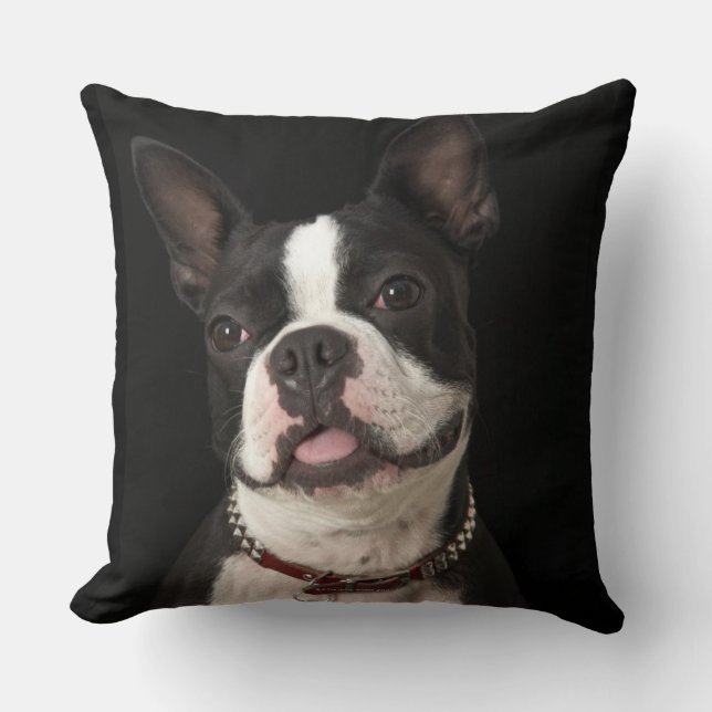 Lächelnder Boston-Terrier mit Kragen Kissen (Vorderseite)