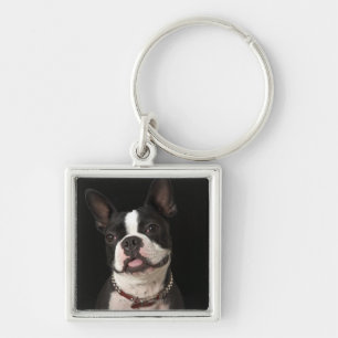 Lächelnder Boston-Terrier mit Kragen Schlüsselanhänger
