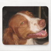 Lächelnder BretagneSpaniel Mousepad (Vorne)