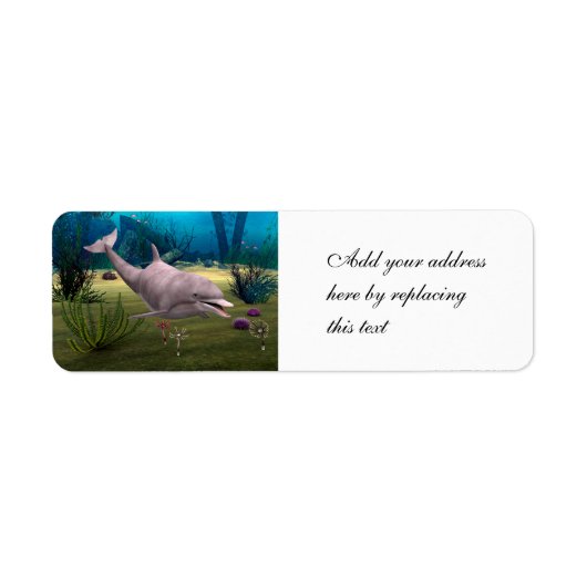 Lächelnder Delfin (Vorne)