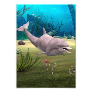 Lächelnder Delfin Fotodruck