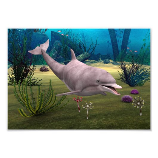 Lächelnder Delfin Fotodruck (Vorne)