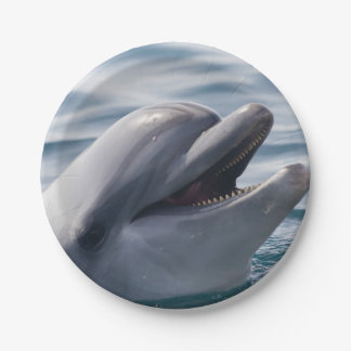 Lächelnder Delfin in Nahaufnahme in hellem blauem Pappteller