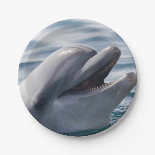 Lächelnder Delfin in Nahaufnahme in hellem blauem Pappteller (Vorderseite)