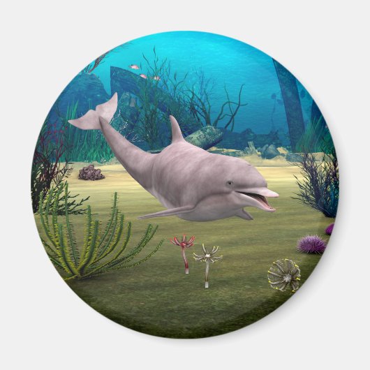 Lächelnder Delfin Magnet (Vorne)
