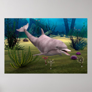 Lächelnder Delfin Poster