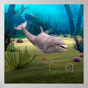 Lächelnder Delfin Poster