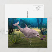 Lächelnder Delfin Postkarte (Vorne/Hinten)