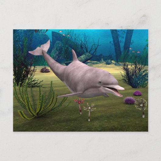Lächelnder Delfin Postkarte (Vorderseite)