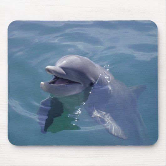 Lächelnder Delphin Mousepad (Vorne)