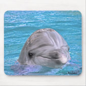 Lächelnder Delphin Mousepad (Vorne)