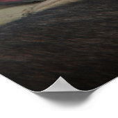 Lächelnder deutscher Schäferhund Militärhund Poster (Ecke)