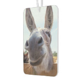 lächelnder Donkey Autolufterfrischer (Links)