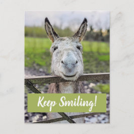 Lächelnder Donkey "Behalt Lächeln" Postkarte