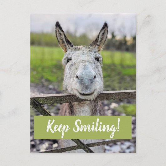 Lächelnder Donkey "Behalt Lächeln" Postkarte (Vorderseite)