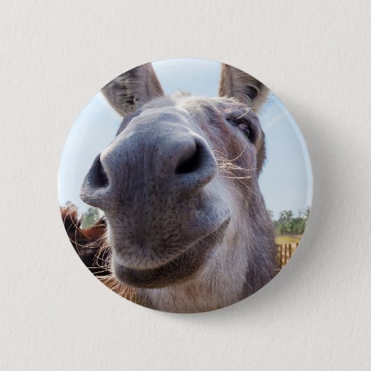 lächelnder Donkey Button (Vorderseite)