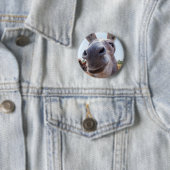 lächelnder Donkey Button (Beispiel)